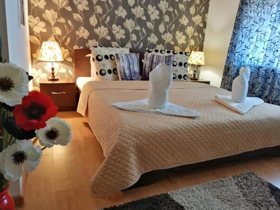 מלון קריובה Casa Regala Ear מראה חיצוני תמונה