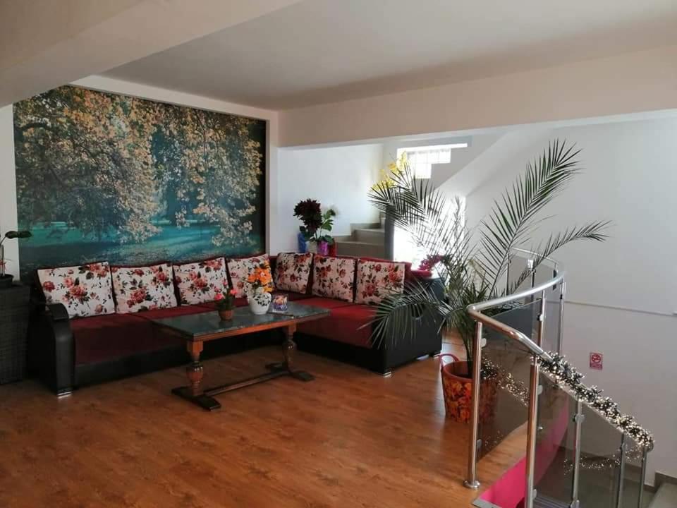 מלון קריובה Casa Regala Ear מראה חיצוני תמונה